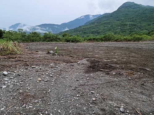 花蓮怪手整地